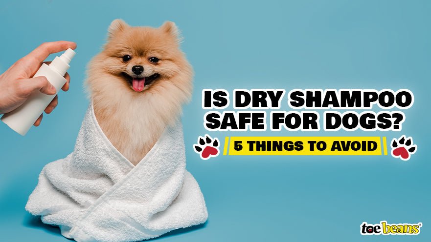 Dog getting sprayed with dry dog shampoo by toe beans