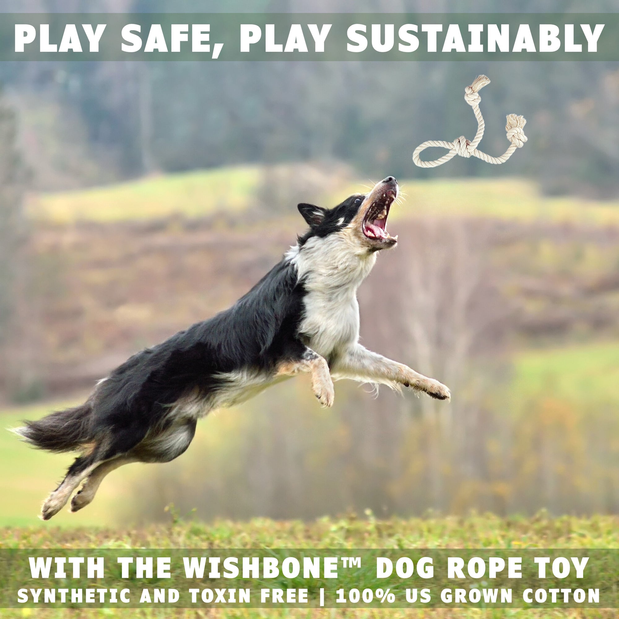 Dog jumping after the wishbone dog toy by earthcare