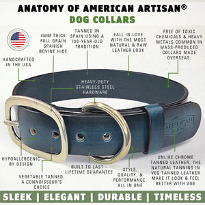 leather dog collars blue fetures by toe beans