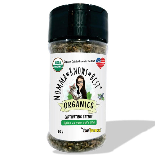 Catnip for Cats | USDA Organic | Grown in the US