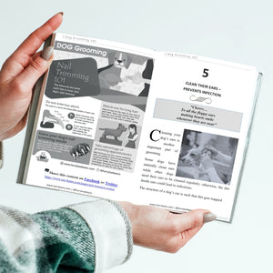 Person holding dog grooming 101 dog book Looking inside by Toe Beans