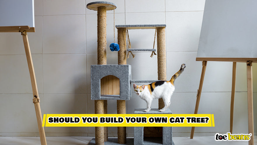 A Built Cat Tree Image by Toe Beans