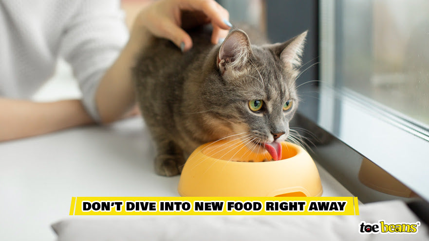 A Cat Eating Food Image by Toe Beans