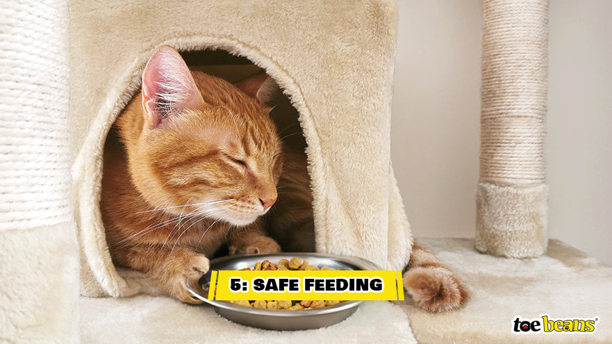 A Cat Eating in a Cat Tree Image by Toe Beans
