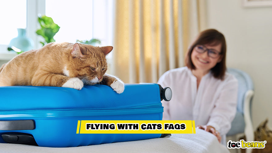 A Cat Laying on a Suitcase Image by Toe Beans