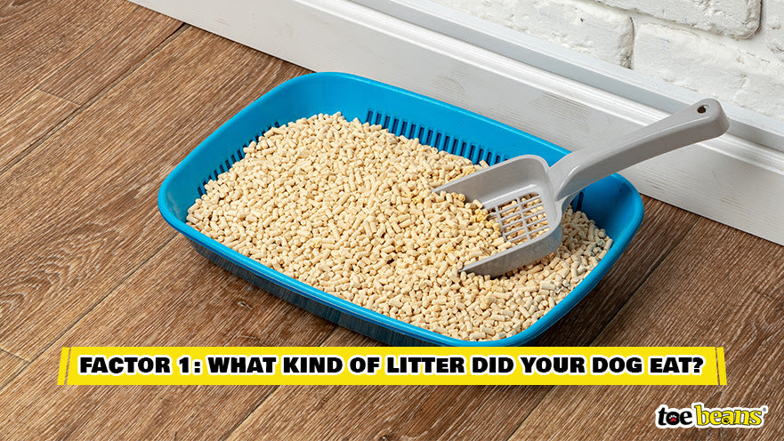 A Cat Litter Box Image by Toe Beans