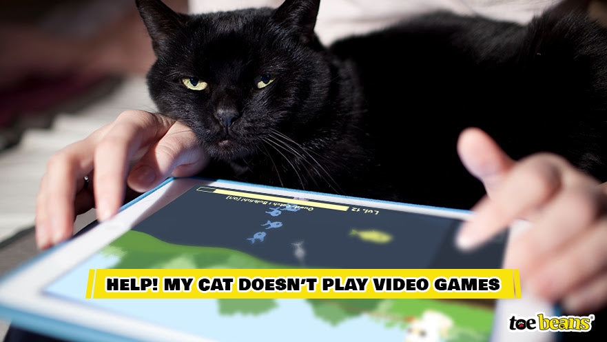 A Cat Not Playing Video Games Image by Toe Beans