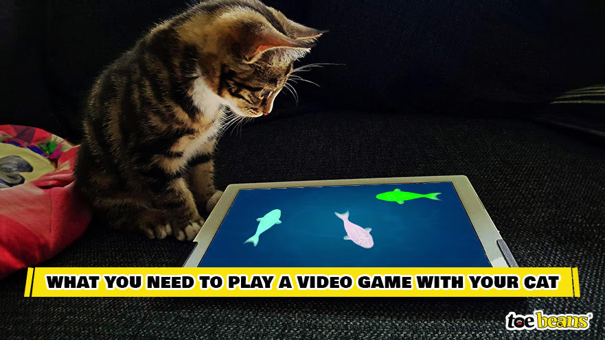 A Cat Playing a Video Game Image by Toe Beans