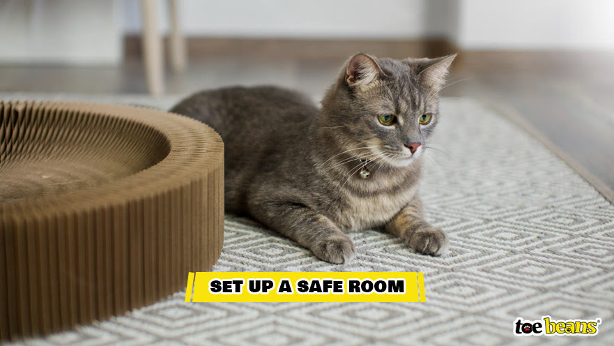 A Cat Safe Room Image by Toe Beans
