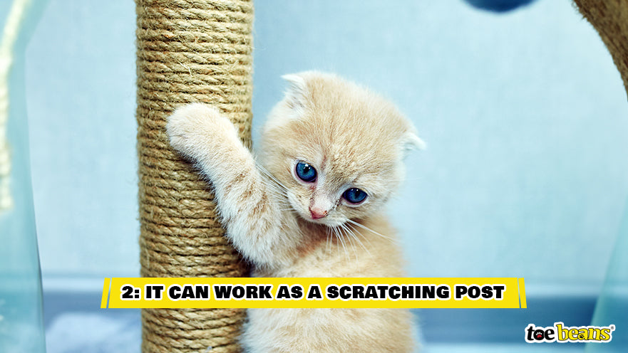 A Cat Scratching a Cat Tree Image by Toe Beans