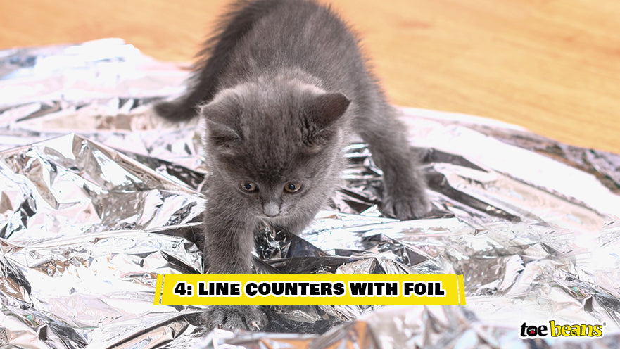 A Cat Stepping on Foil Image by Toe Beans