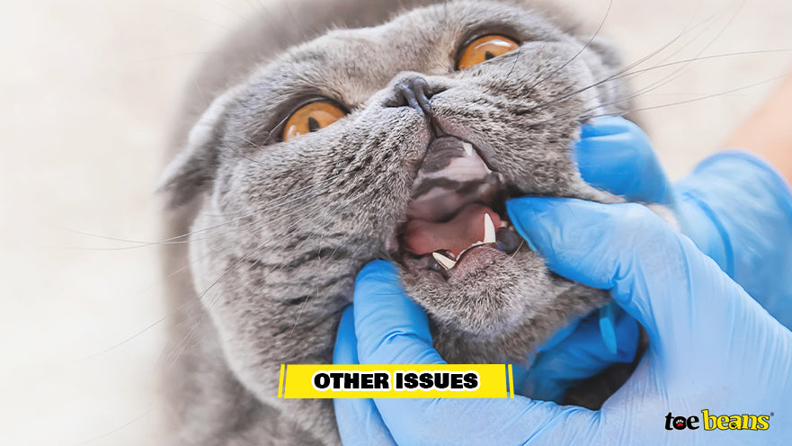 A Cat With Bad Breath Image by Toe Beans