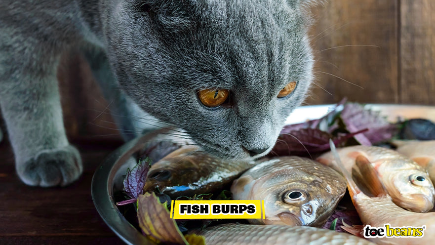 A Cat With Fish Image by Toe Beans