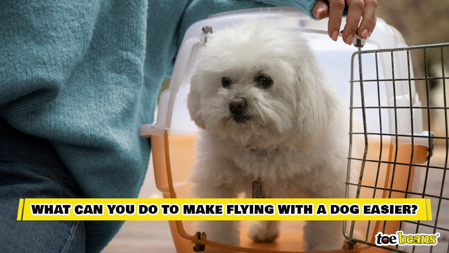 A Crate Trained Dog Image by Toe Beans