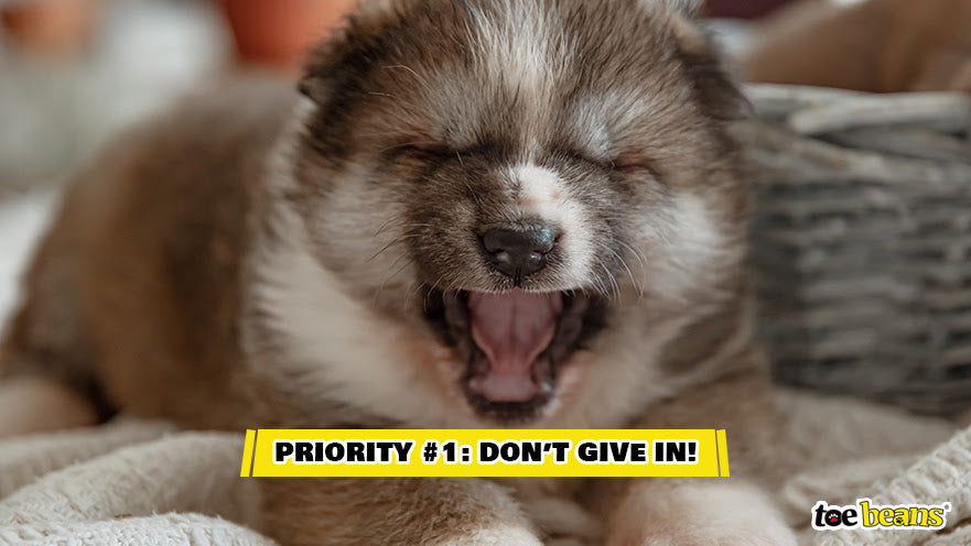 A Crying Puppy Image by Toe Beans