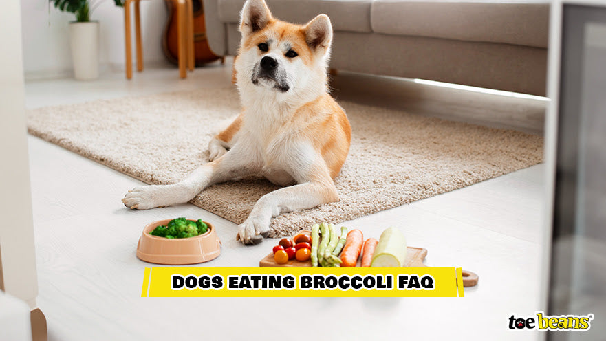 A Dog With Vegetables Image by Toe Beans