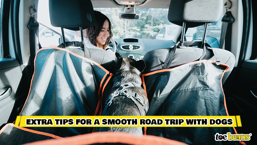A Dog On A Road Trip Image by Toe Beans