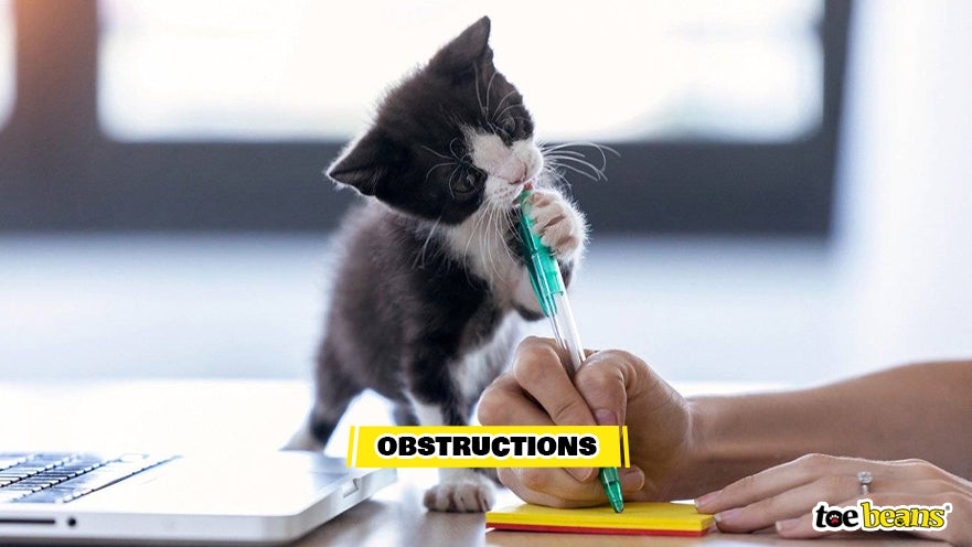 A Kitten Chewing a Pen Image by Toe Beans