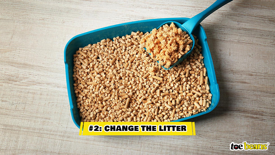 A Litter Box With Clay Litter Image by Toe Beans
