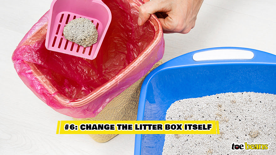 A Person Cleaning A Litter Box Image by Toe Beans