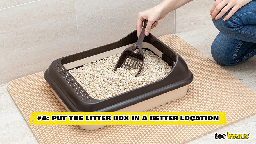 A Person Scooping A Litter Box Image by Toe Beans