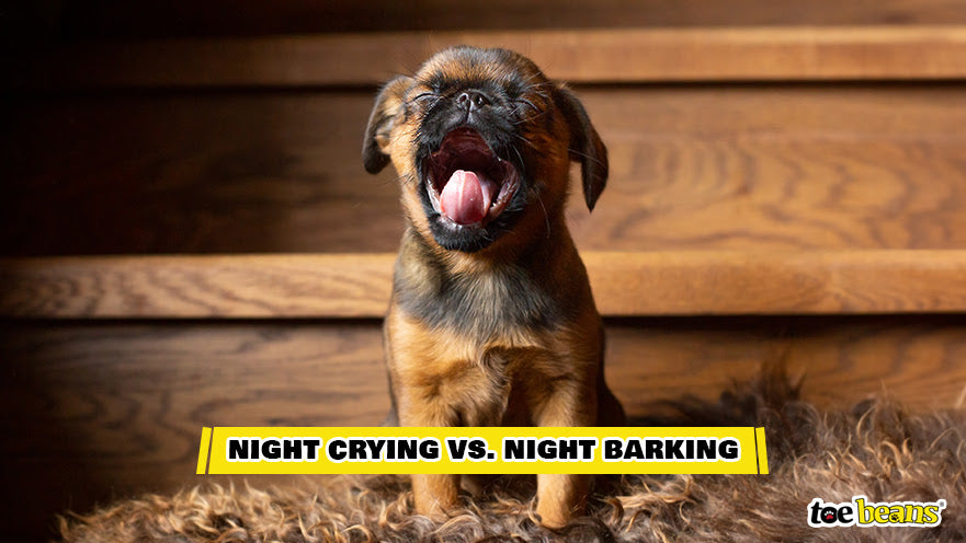 A Puppy Night Crying Image by Toe Beans
