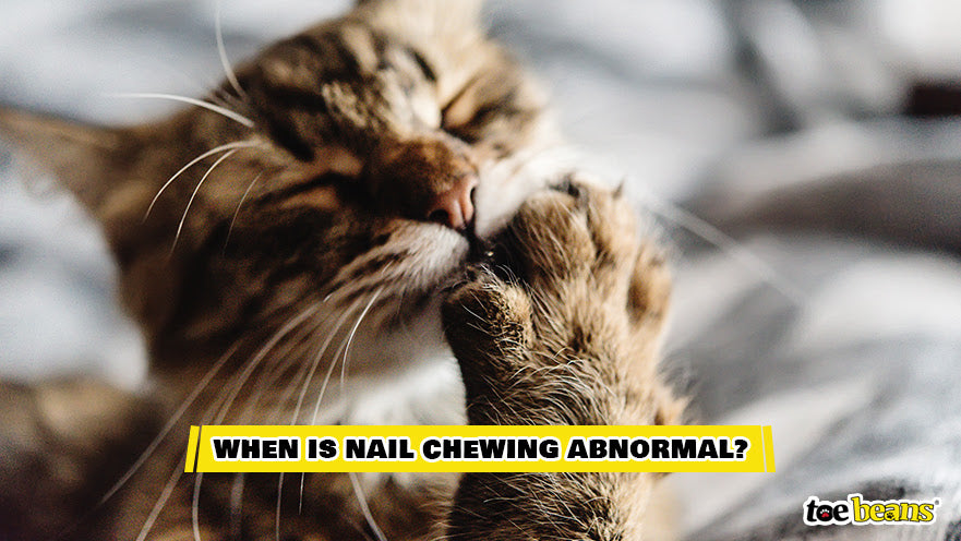 Abnormal Nail Chewing Image by Toe Beans