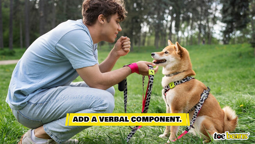 Adding a Verbal Component to Training Image by Toe Beans