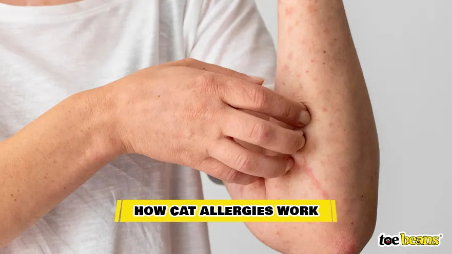 An Allergic Reaction Image by Toe Beans