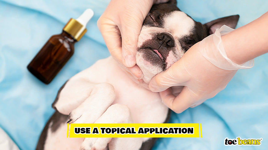 Applying CBD Topically