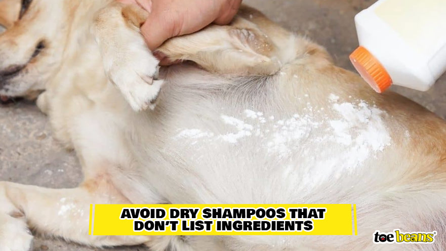 Applying Dry Shampoo