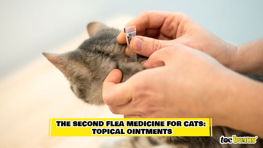 Applying a Topical Ointment Image by Toe Beans