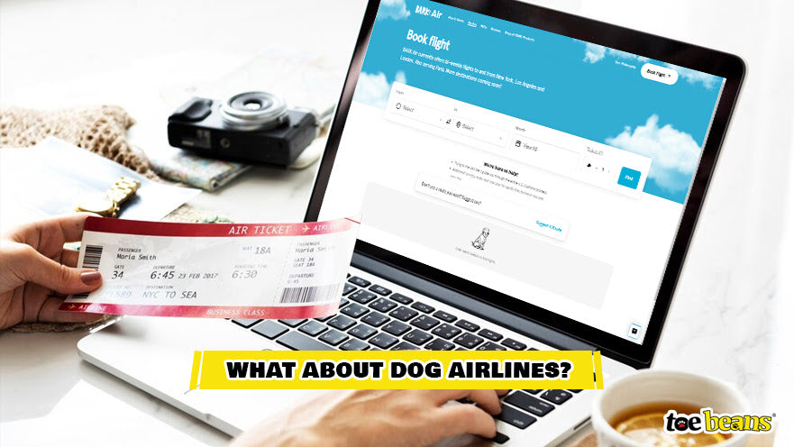Booking A Flight On Bark Air Image by Toe Beans