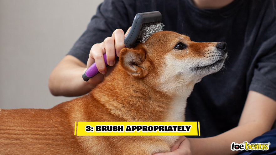Brushing Dog Appropriately Image by Toe Beans