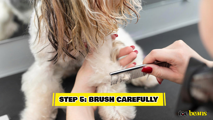 Brushing Dog Carefully