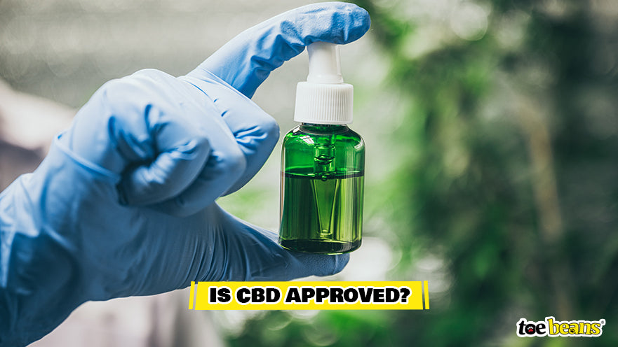 CBD Oil Bottle Image by Toe Beans