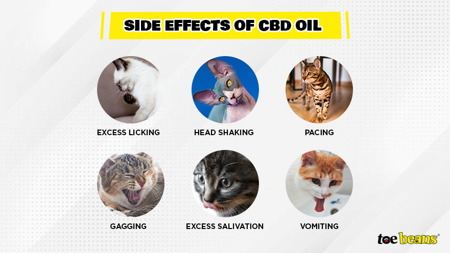CBD Oil Side Effects