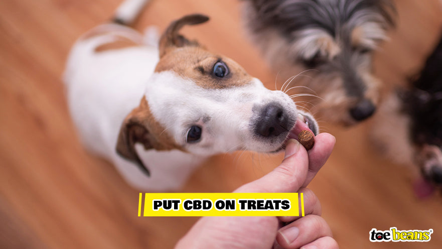 CBD on Treats