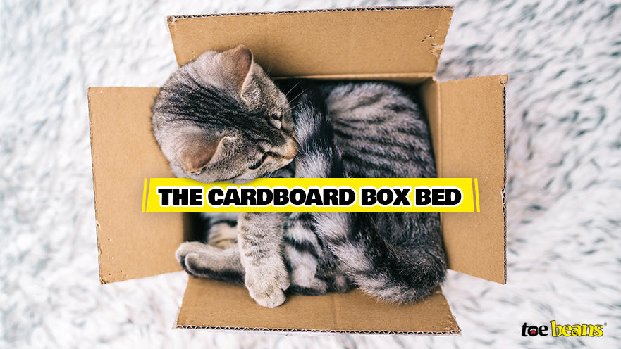 Cardboard Box Bed