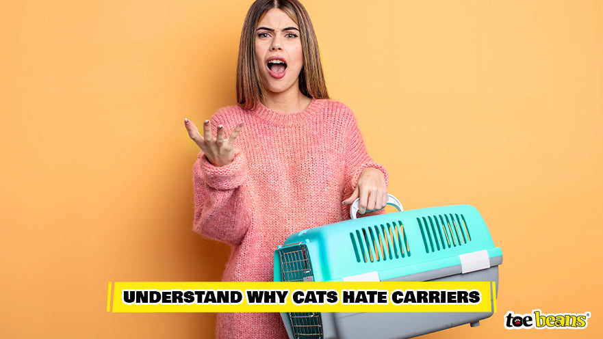 Carrying a Cat Carrier Image by Toe Beans