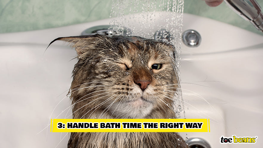 Cat Bath Time Image by Toe Beans