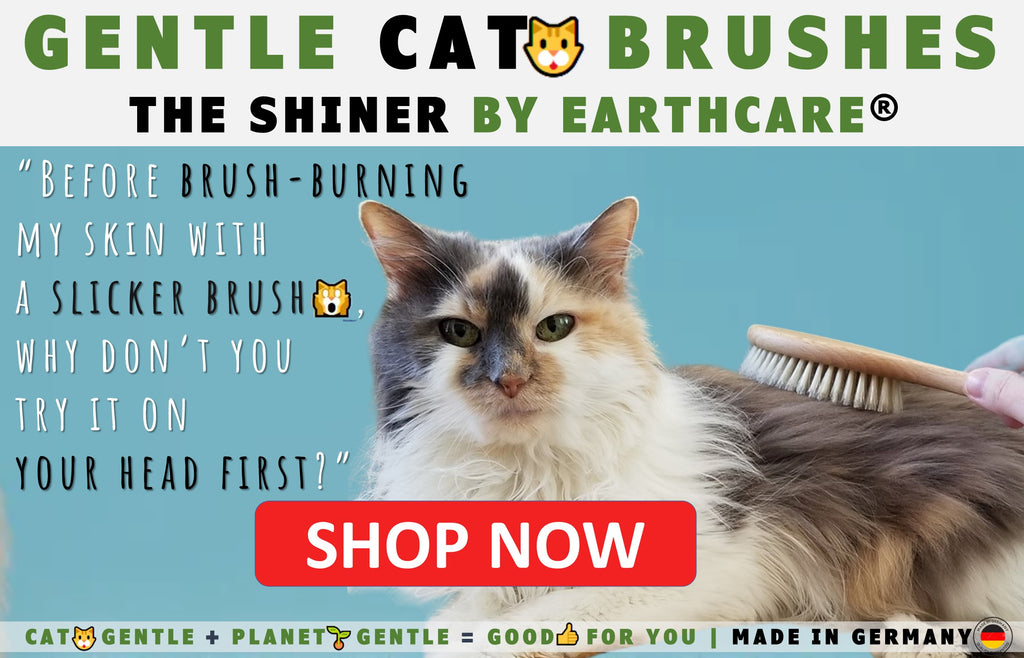 Cat Brushes_V2_ by Toe Beans