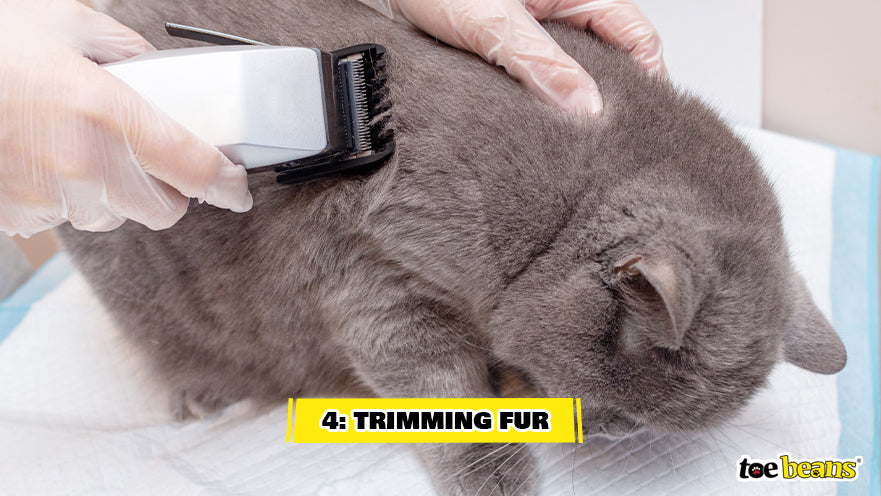 Cat Fur Trimming Image by Toe Beans