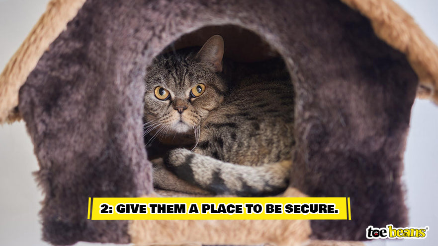 Cat In A Secure Place Image by Toe Beans