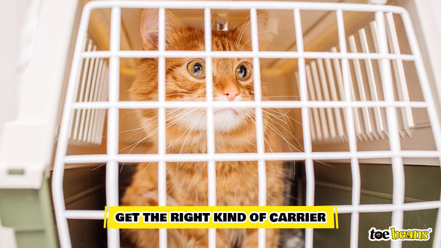 Cat Inside a Carrier Image by Toe Beans