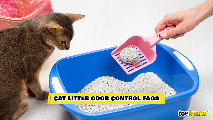 Cat Litter Odor Control Image by Toe Beans