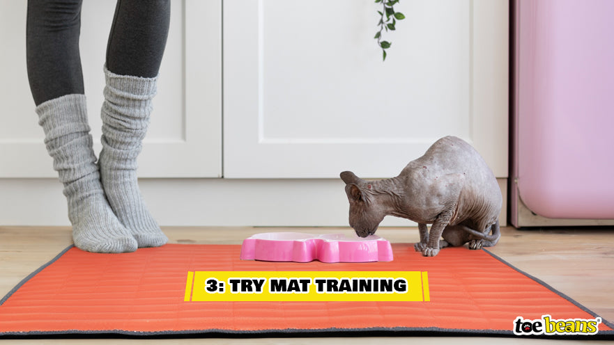Cat Mat Training Image by Toe Beans