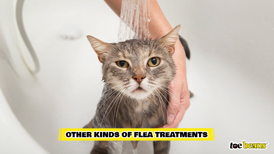 Cat Taking a Flea Bath Image by Toe Beans