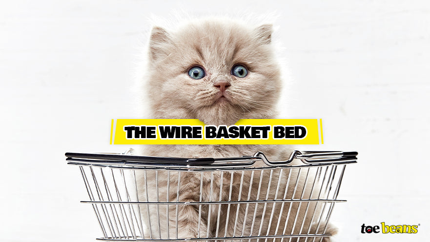 Wire Basket Bed