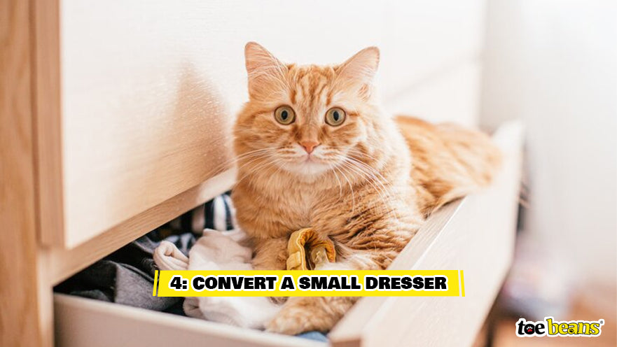Cat in a Dresser Image by Toe Beans
